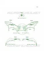 DecalsC.H.GreenE8FE9F voor Kawasaki Brute Force 750 4x4i Hardwoods Green HD 2009