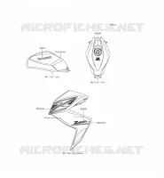 STICKER(GRAYSTONE) voor Kawasaki Z300 2015