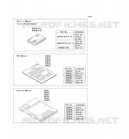 MANUAL voor Kawasaki KLX250 2009