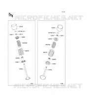 VALVE voor Kawasaki KLX250SF 2010