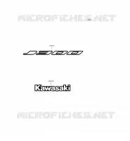 STICKER (BLACK)(SILVER)(WHITE) voor Kawasaki J300 2015