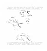 STICKER(GOOSEBERRY) voor Kawasaki VN1500 DRIFTER 1999