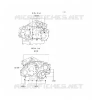 CRANKCASE BOLT voor Kawasaki VN1500 CLASSIC TOURER FI 2003