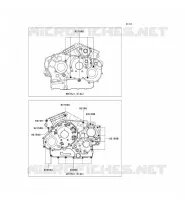CRANKCASE BOLT voor Kawasaki VN1600 CLASSIC TOURER 2006