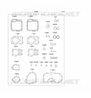 GASKET SET voor Kawasaki VN800 CLASSIC 2001