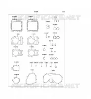 GASKET SET voor Kawasaki VN800 CLASSIC 2003