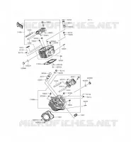 CYLINDER HEAD voor Kawasaki VULCAN 900 CUSTOM 2015