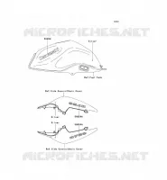 DECALS(SILVER) voor Kawasaki Z750 2007
