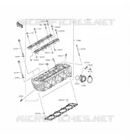 CYLINDER HEAD voor Kawasaki Z800 ABS 2015