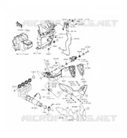 EXHAUST voor Kawasaki Z800 ABS 2015