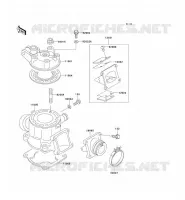 CYLINDER HEAD   CYLINDER voor Kawasaki KX100 1995