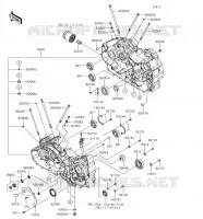 CRANKCASE(S) voor Kawasaki VULCAN 1700 VOYAGER 2018