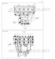 CRANKCASE BOLT voor Kawasaki NINJA ZX-6R 2019