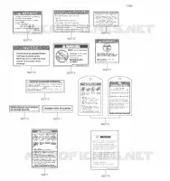 LABELS(US) voor Kawasaki BRUTE FORCE 300 2020