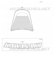 ACCESSORY(DECALS) voor Kawasaki Z900RS 2021