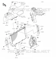 RADIATOR voor Kawasaki Z900RS 2021