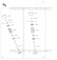 VALVE voor Kawasaki Z900RS 2021