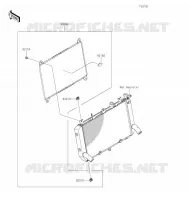 ACCESSORY(Radiator Guard) voor Kawasaki Z900RS 2021