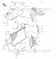 RADIATOR voor Kawasaki Z900RS 2021