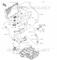 WATER PIPE voor Kawasaki Z900RS 2021