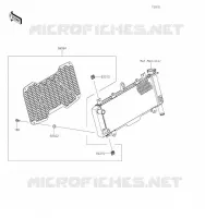ACCESSORY(Radiator Screen) voor Kawasaki Z650 2017