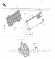 ACCESSORY(Radiator Screen and Cap) voor Kawasaki NINJA 650 2021