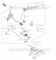 ACCESSORY (POIGNEES CHAUFFANTES) voor Kawasaki Z900RS 2020