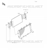 ACCESSORY(Radiator Guard) voor Kawasaki Z900RS 2020