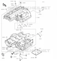 CRANKCASE(S) voor Kawasaki Z900RS 2020