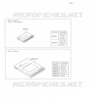 MANUAL voor Kawasaki Z900RS 2020