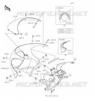 COWLING voor Kawasaki Z900RS CAFE 2020