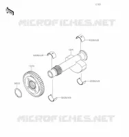 BALANCER voor Kawasaki W800 2023