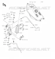 FUEL EVAPORATION SYSTEM(CA) voor Kawasaki KLX230R S 2023