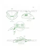 DecalsGreenBFF voor Kawasaki Ninja 300 ABS 2015