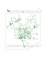 Throttle voor Kawasaki Ninja 300 ABS 2015